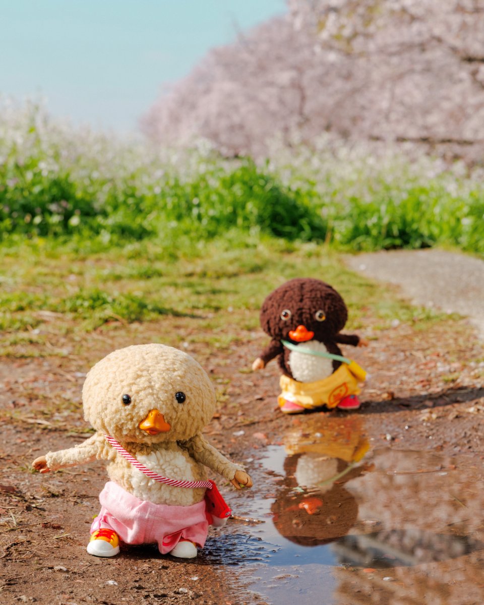 東京トガリ tweet media