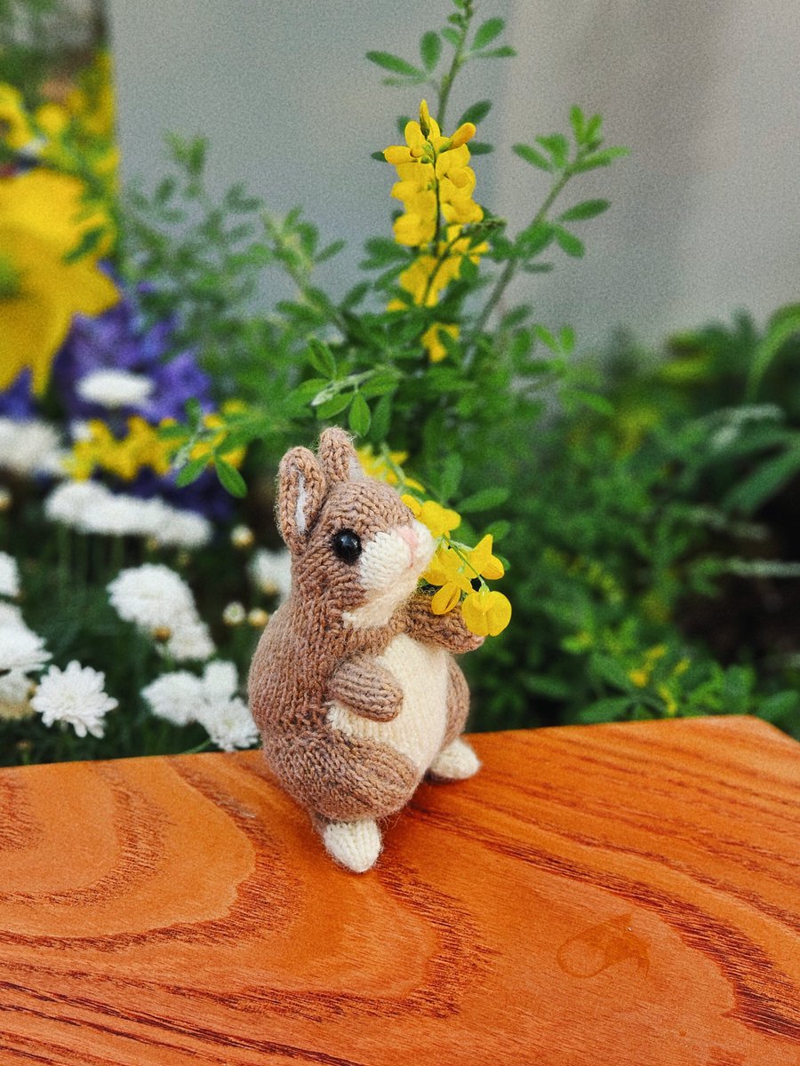 주모여기(뜨개구리 사랑중) tweet media