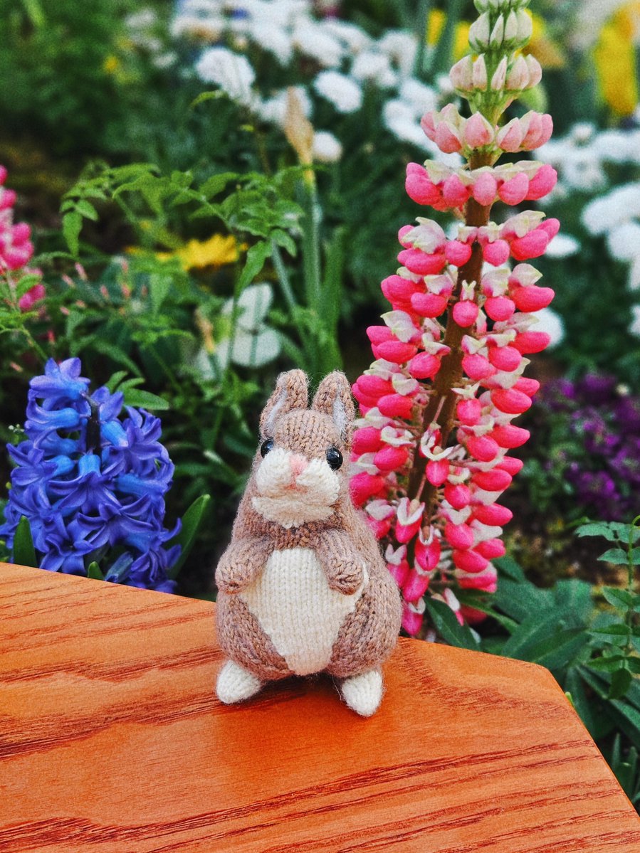 주모여기(뜨개구리 사랑중) tweet media