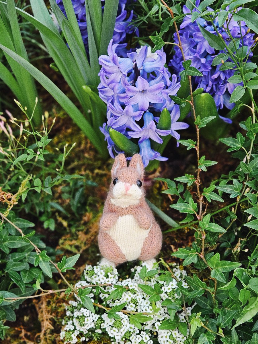 주모여기(뜨개구리 사랑중) tweet media