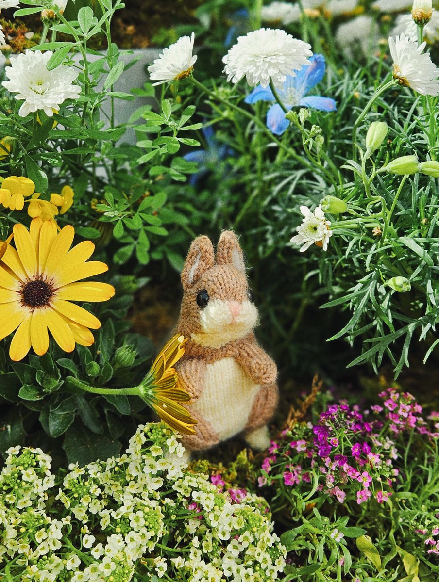 주모여기(뜨개구리 사랑중) tweet media