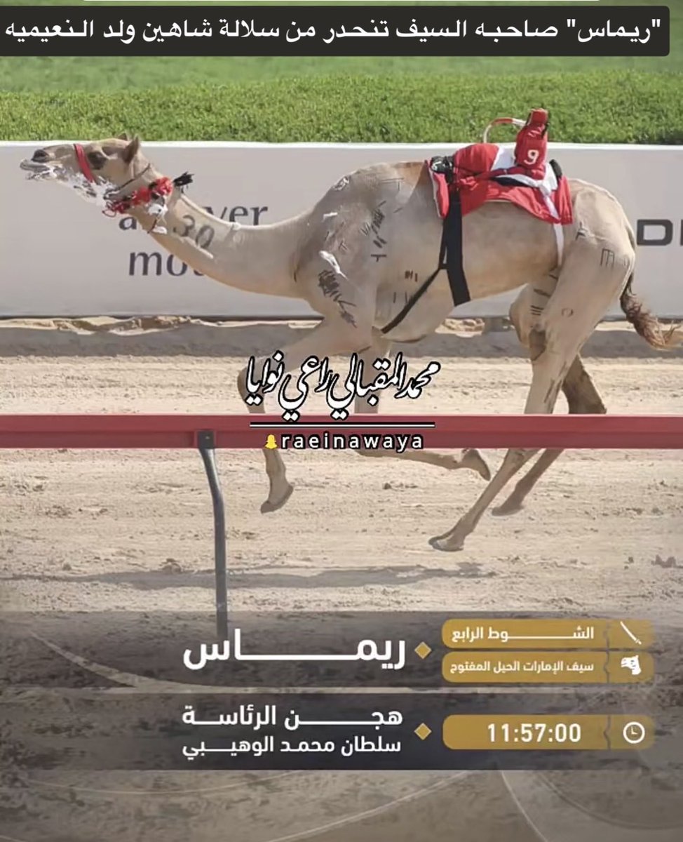 بدر آبن دخيل الهاجري tweet media