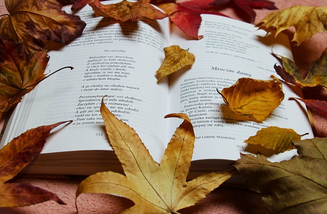 Paula Harvey tweet media