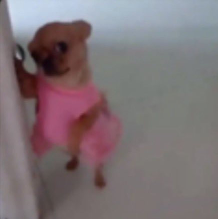 𝐴𝑖𝑠ℎ𝑎 𐙚 tweet media