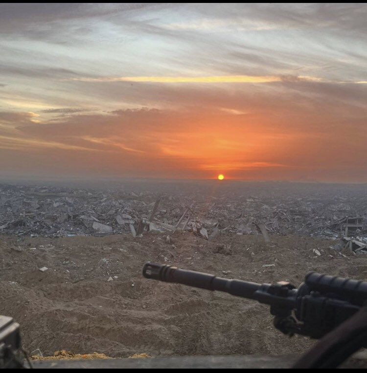 Bart Teeling 🇮🇪🇵🇸 tweet media