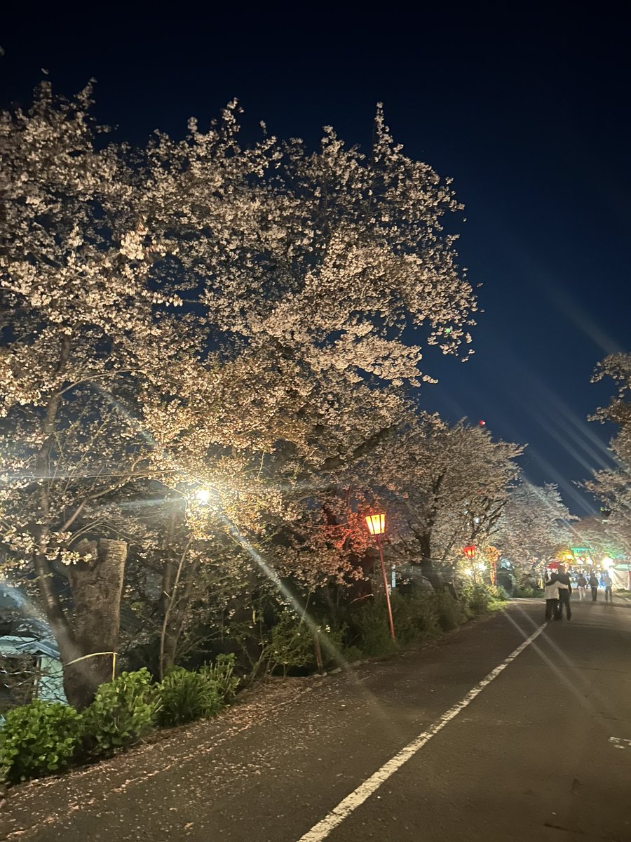 りょう🪦🧟 tweet media