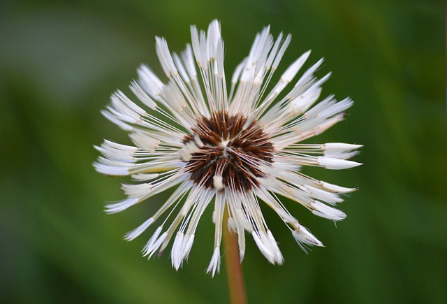 Daniela Fox tweet media