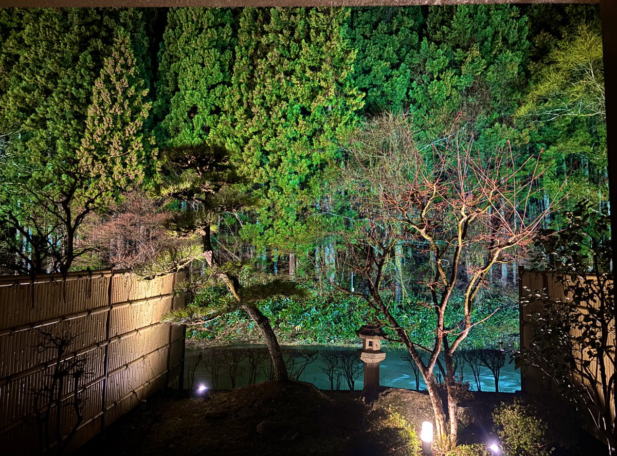 Wolf Nils💛 tweet media