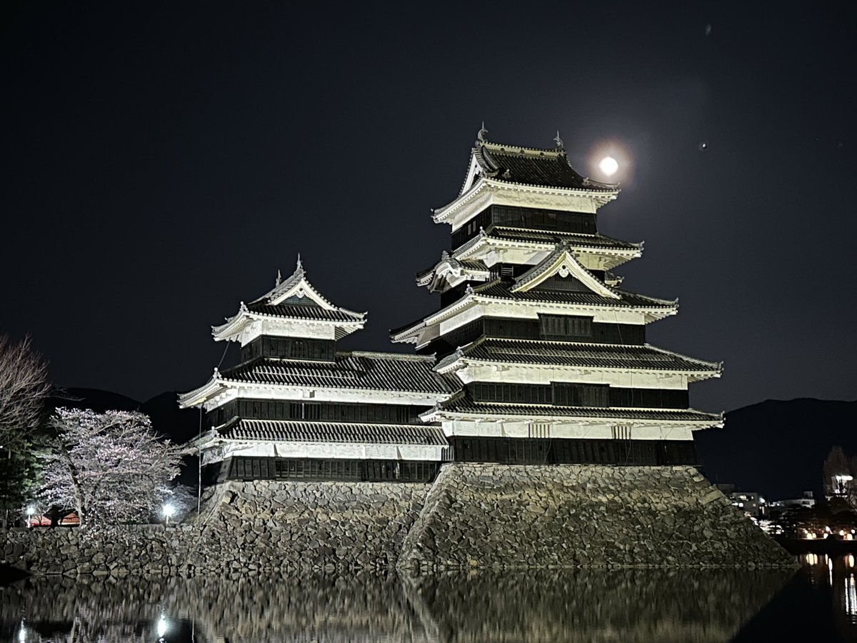 ＤＯＭ tweet media