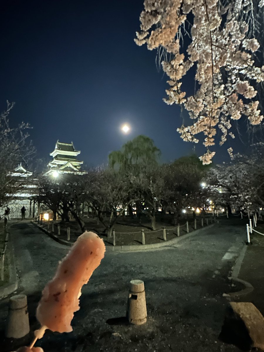 ＤＯＭ tweet media