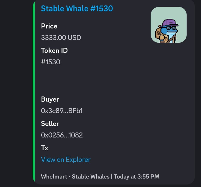 hk_piggy's tweet image. 1 -&amp;gt; 22 -&amp;gt; 70 -&amp;gt; 140 -&amp;gt; 3333u?
Defintely spot for whel 🐳

@tempowhel
#whell #NFT #tempo