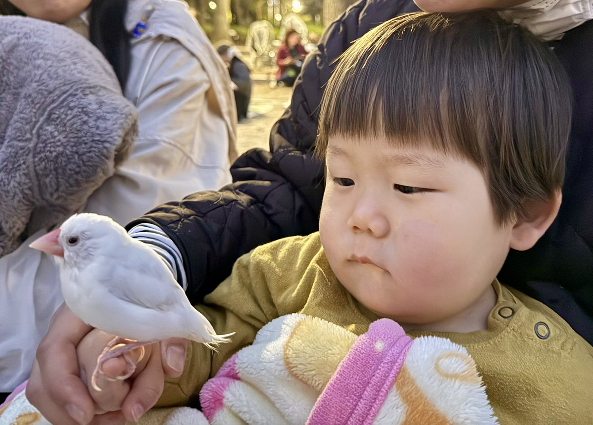 米澤隆 tweet media