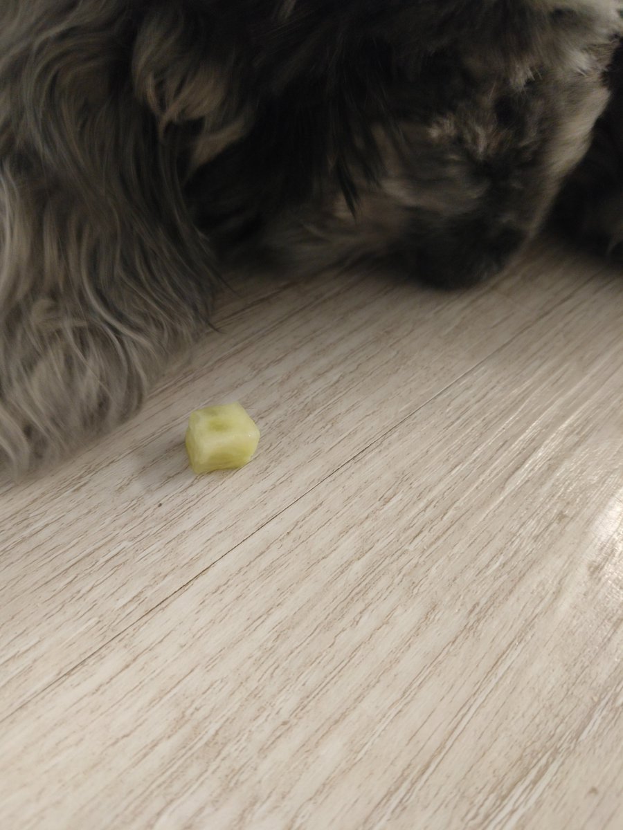 Satu 📖 tweet media