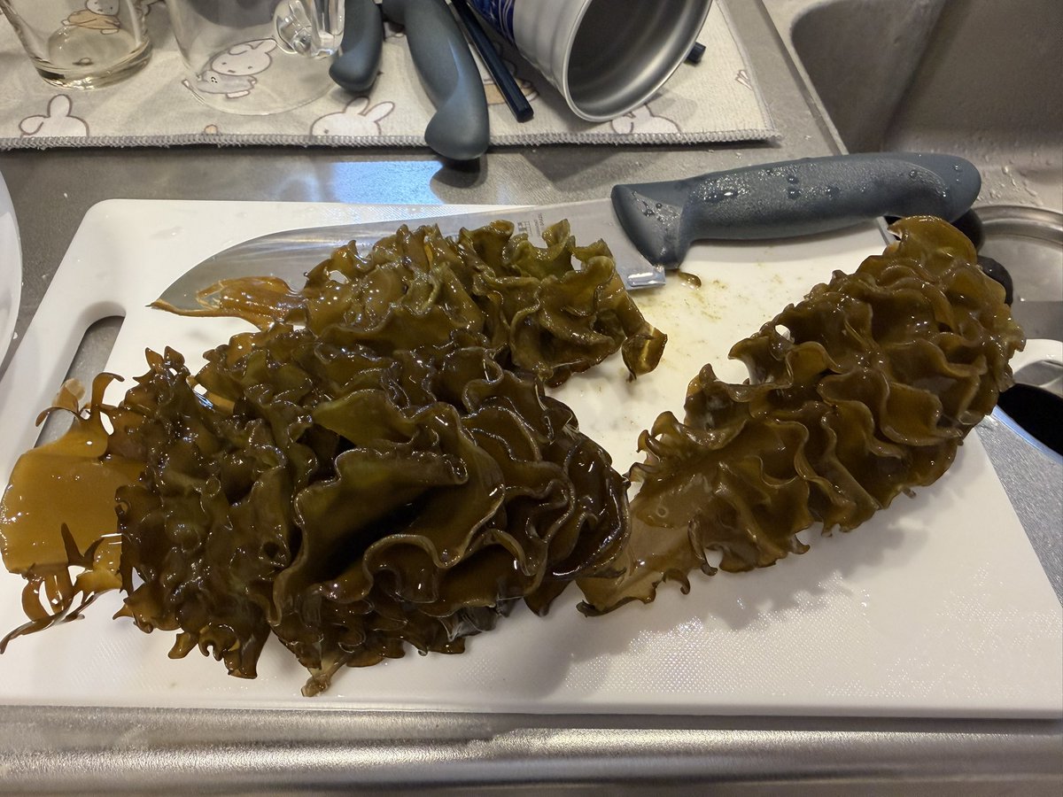 らんど🏍️ tweet media