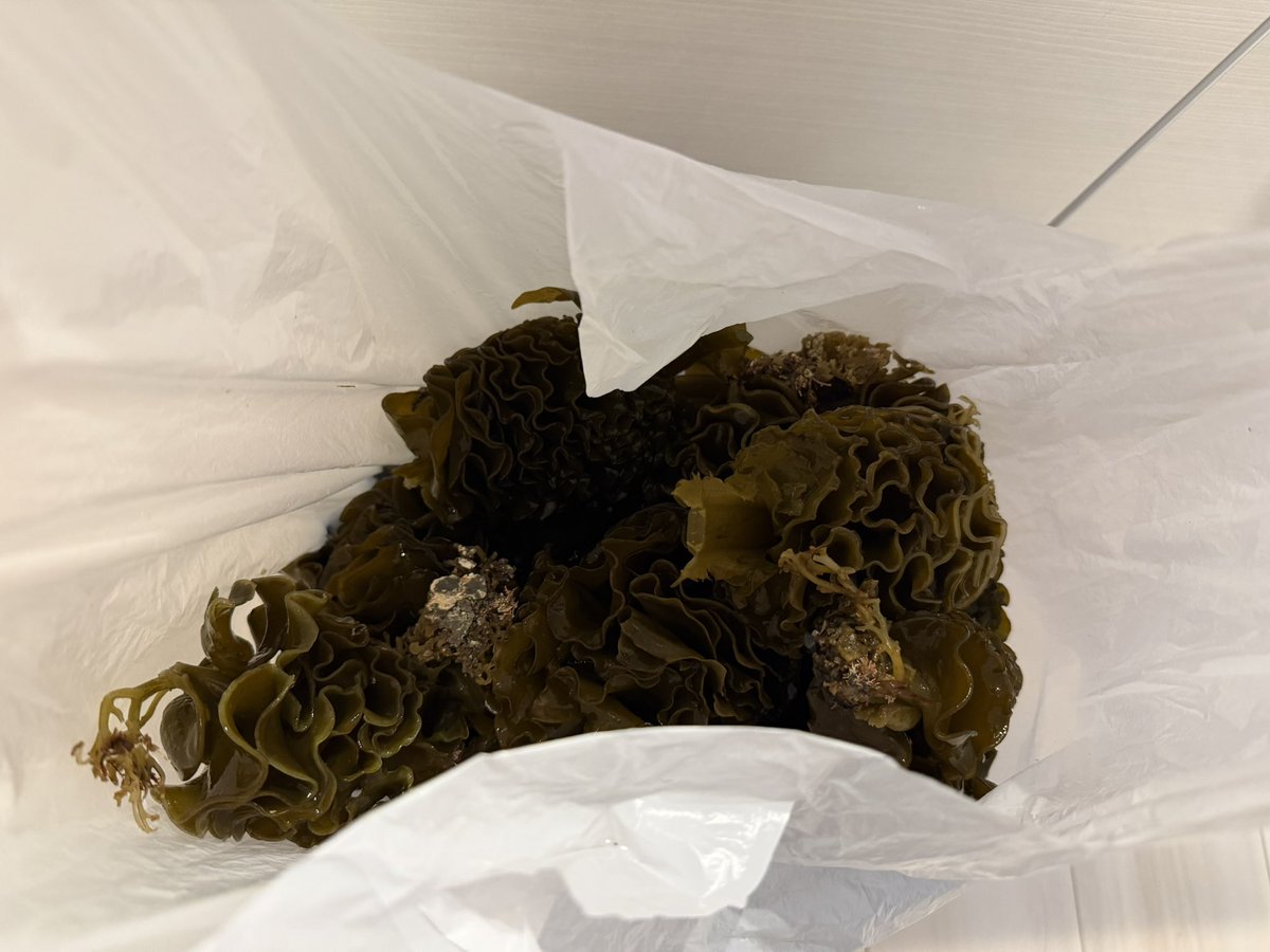 らんど🏍️ tweet media