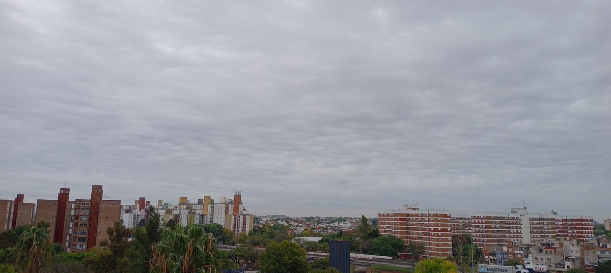 Ivan Akirov tweet media