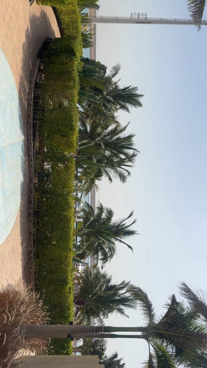 _Shamskm's tweet photo. No Bad Vibes 🦩🏝️🌊☀️ https://t.co/hODhXpnUcd