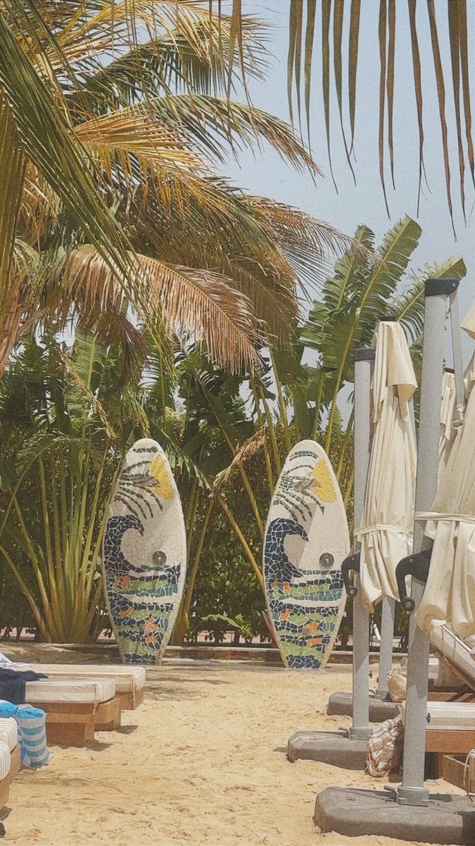 _Shamskm's tweet photo. No Bad Vibes 🦩🏝️🌊☀️ https://t.co/hODhXpnUcd