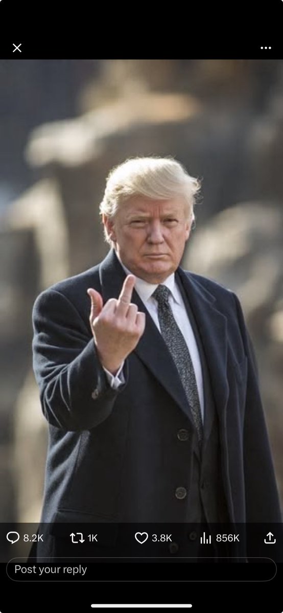 Nokmo (Han Suyin girlboss arc) 🕊 tweet media