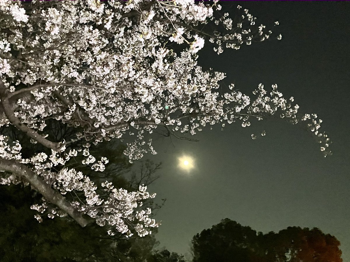 Şhǐbø tweet media