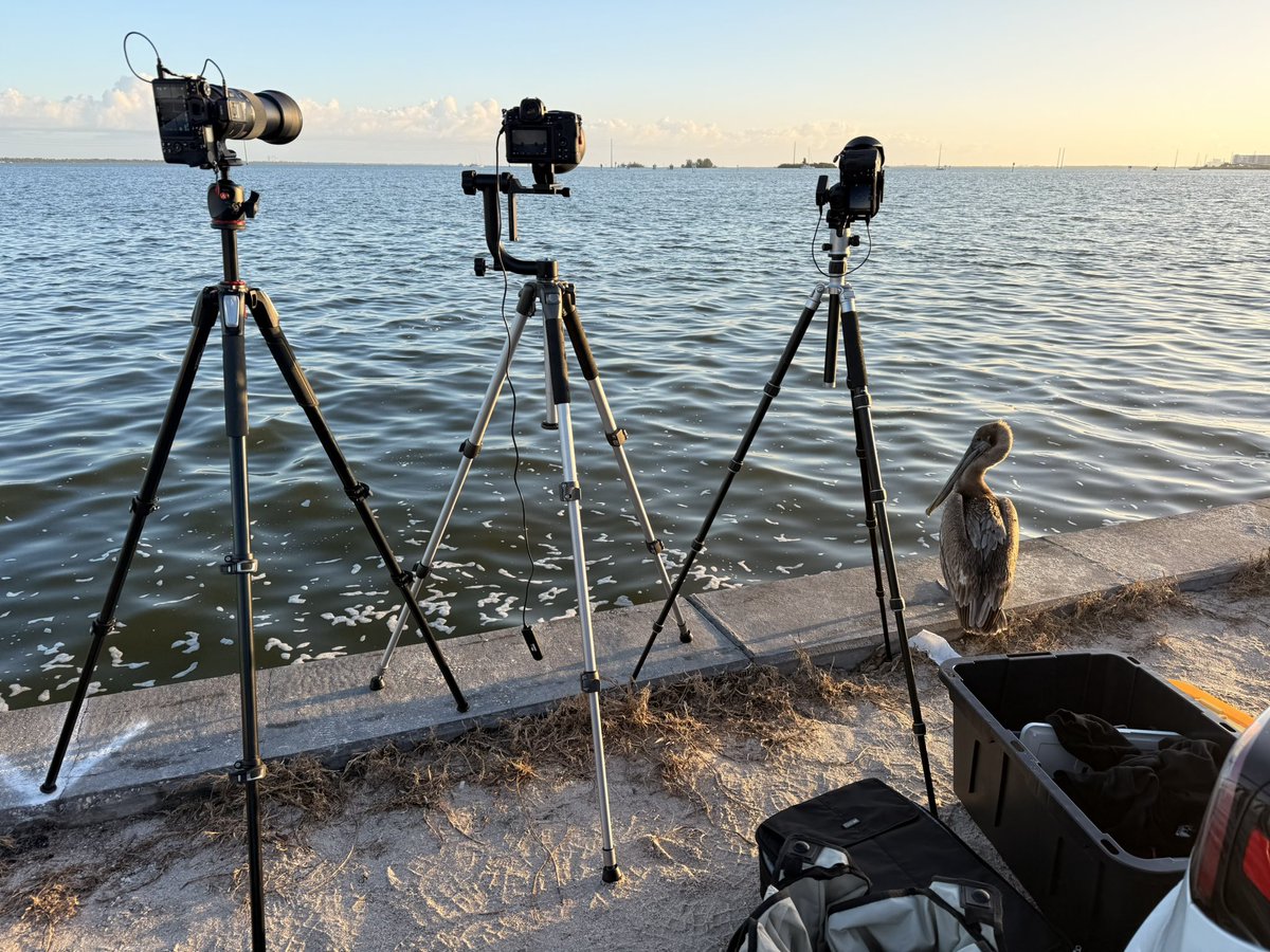 Kyle Henry tweet media