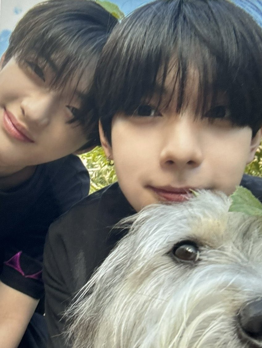 개조심 tweet media