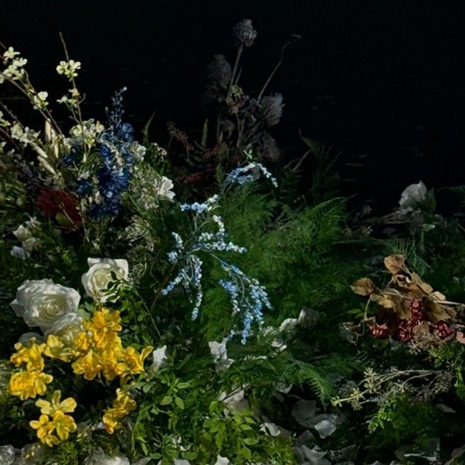 홍이코기 tweet media