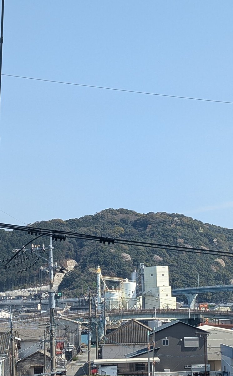 山に桜が不規則に育っているのが不思議。なんであそこにいるのか？⁡
⁡でも不規則って不規則であろうと意識するととたんにかっこ悪くなるから、自然の采配ってすごいものだなと思う。不規則がかっこいい。