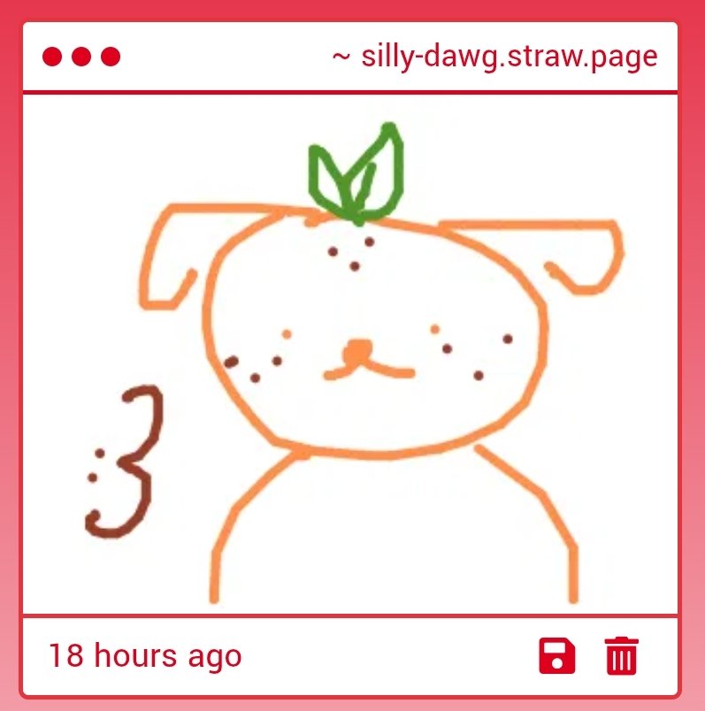 GOD ⋆ 🍊🐕 tweet media