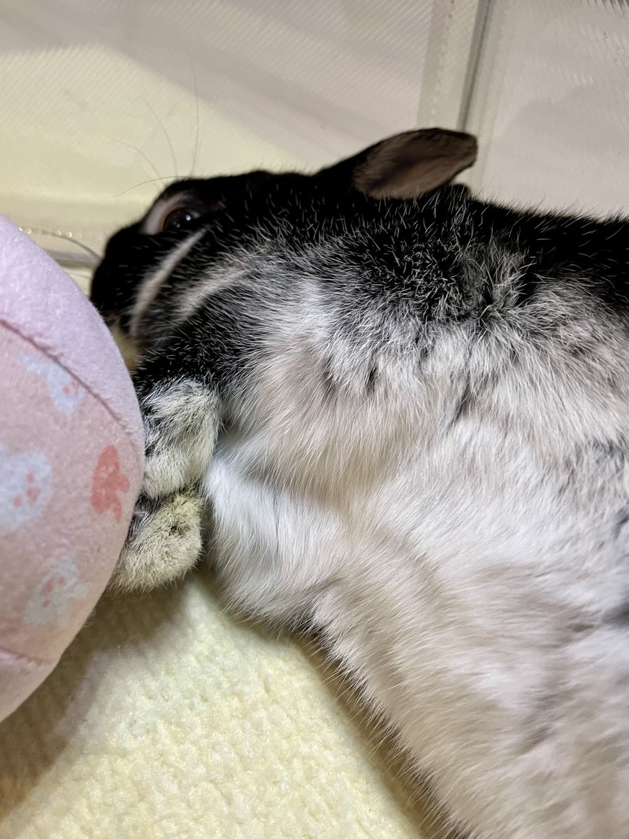 さんた tweet media