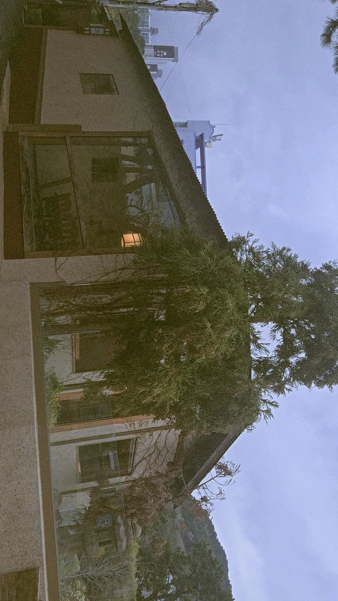 제로늄 tweet media