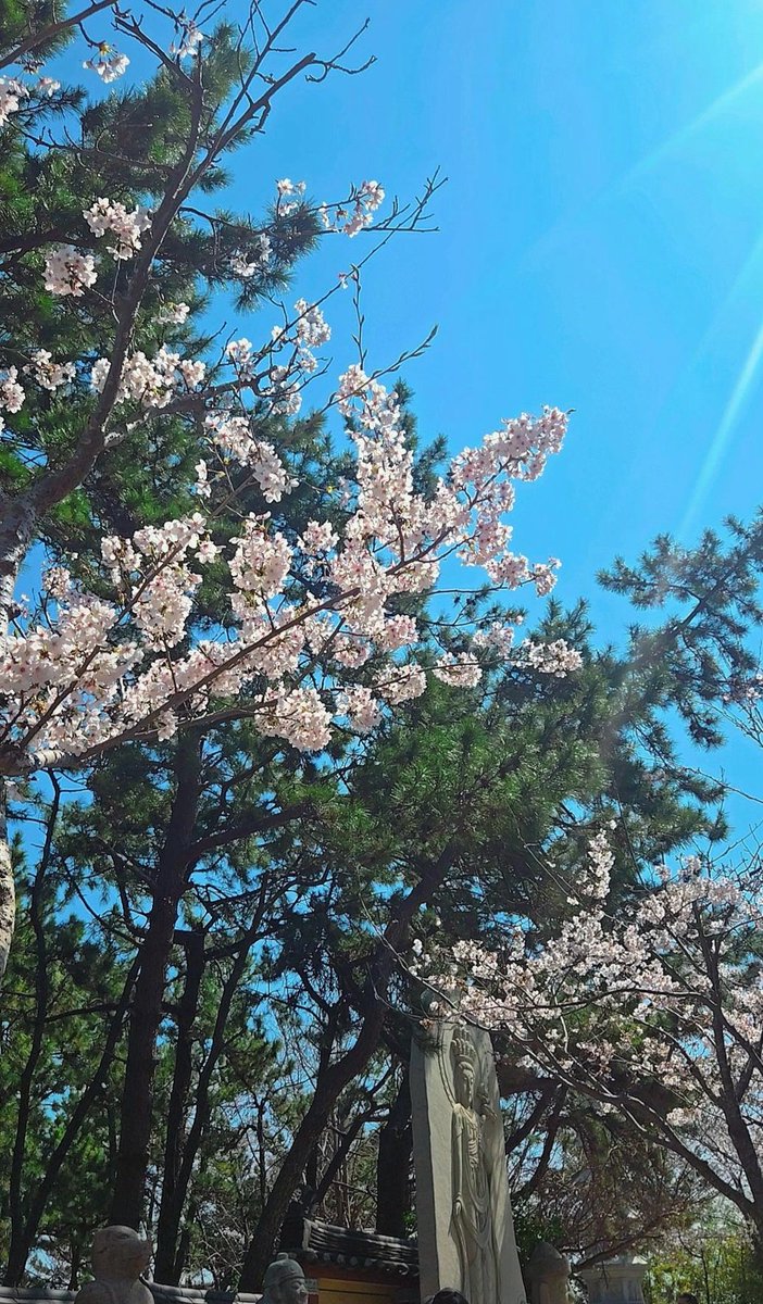 제로늄 tweet media