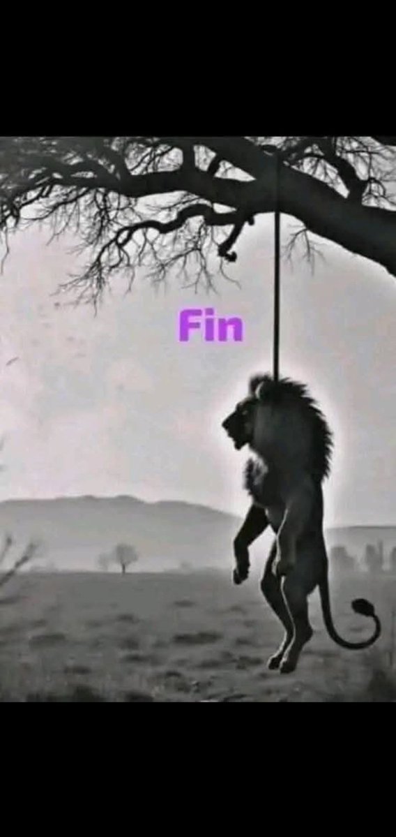 luis PLMel tweet media