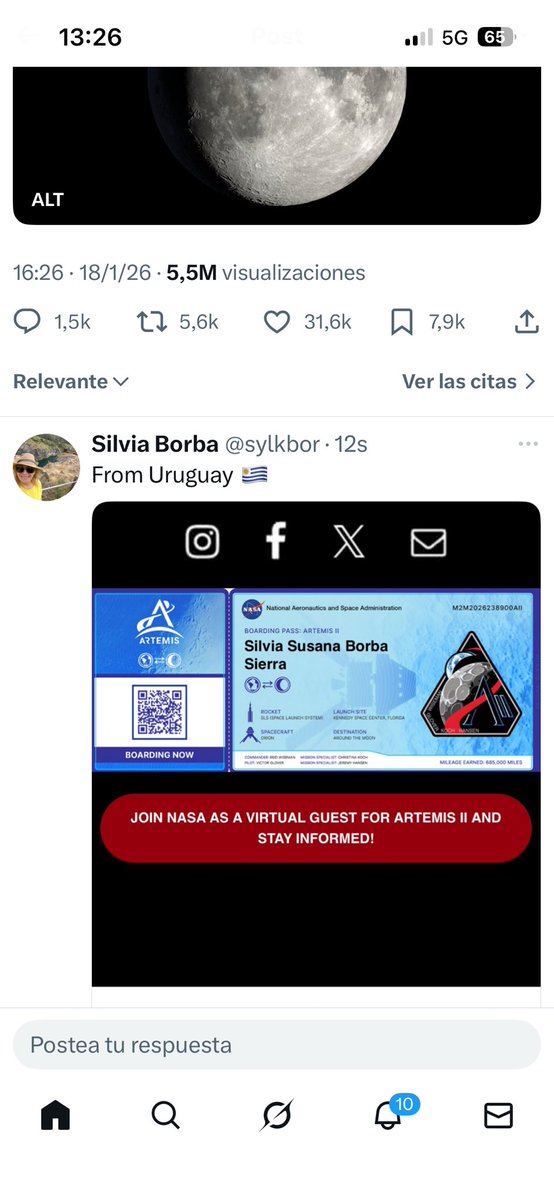 Silvia Borba tweet media