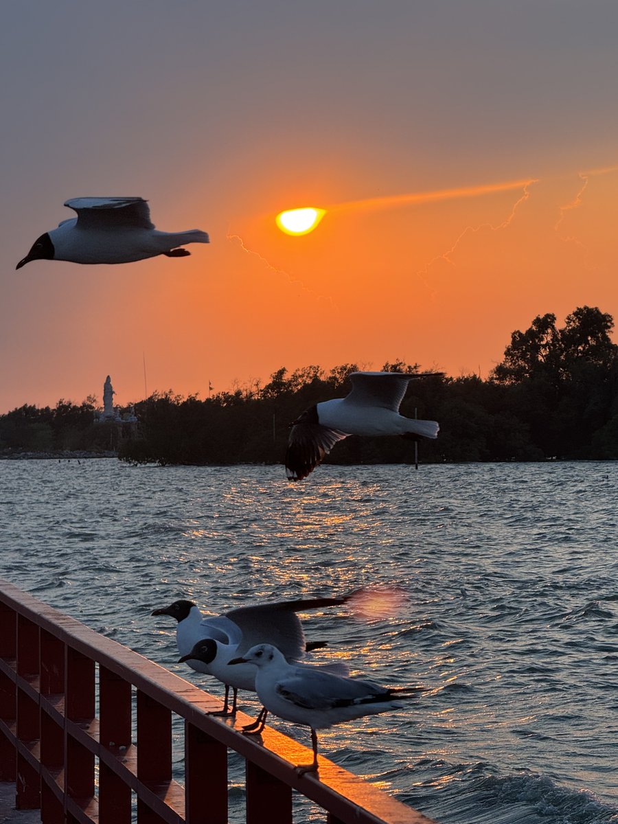 Ubecursed tweet media