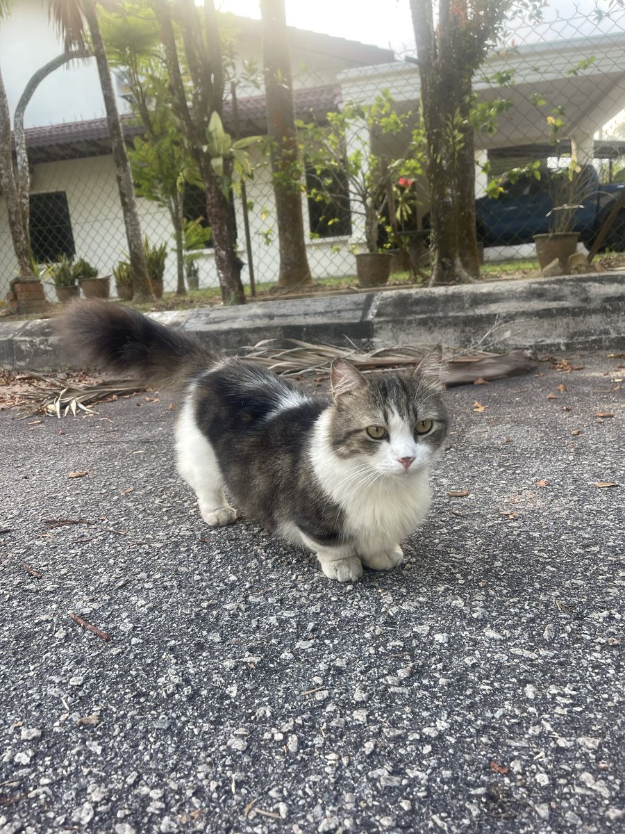 Fitri, Ph.D in Fish Genetics  tweet media