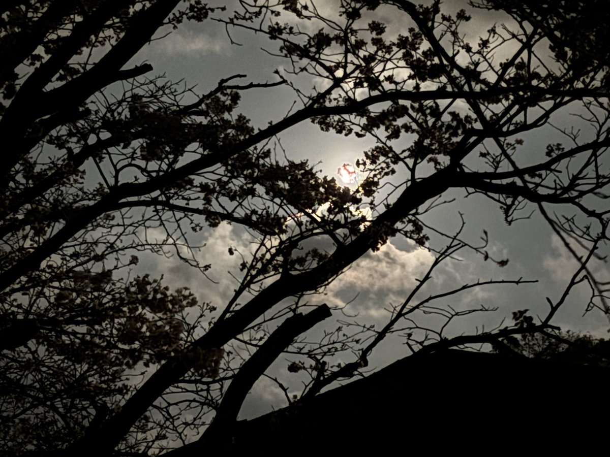 ピンクムーン🌕