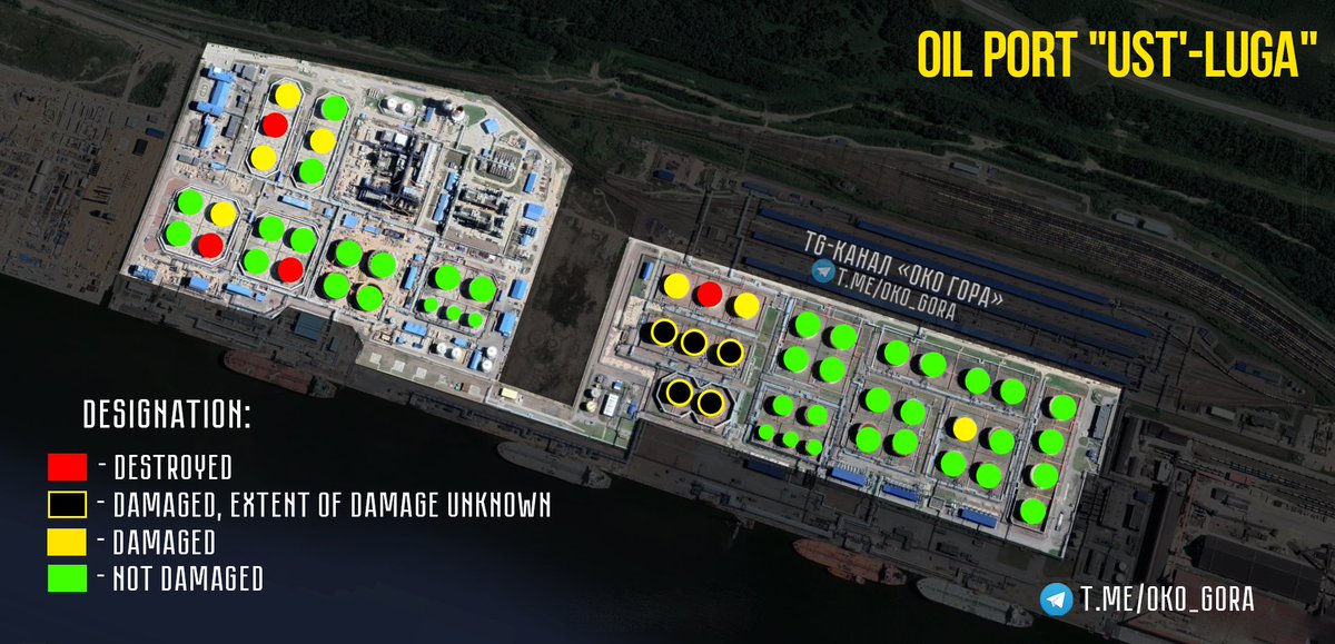 Oko Gora tweet media