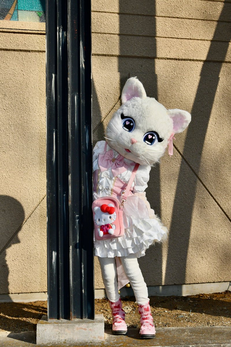 ミスティ日記♡ tweet media