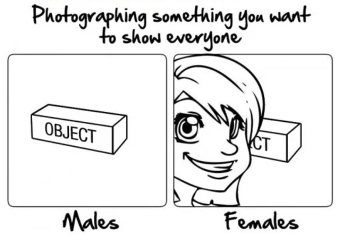 vittorio tweet media