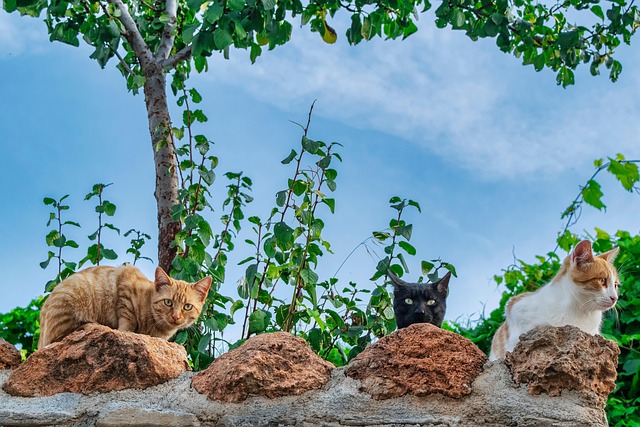 Jamie Tanea tweet media