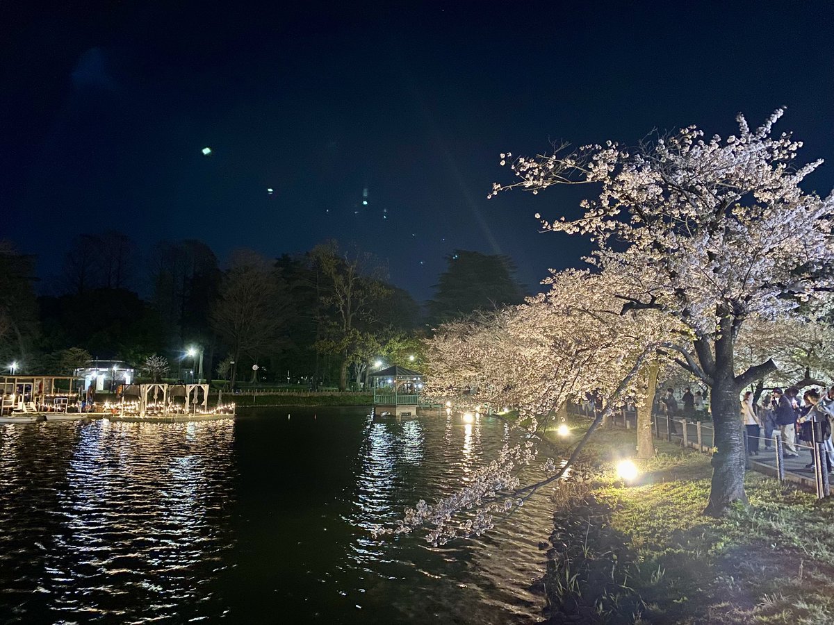 むう【TOEIC Instructor & Creator】 tweet media