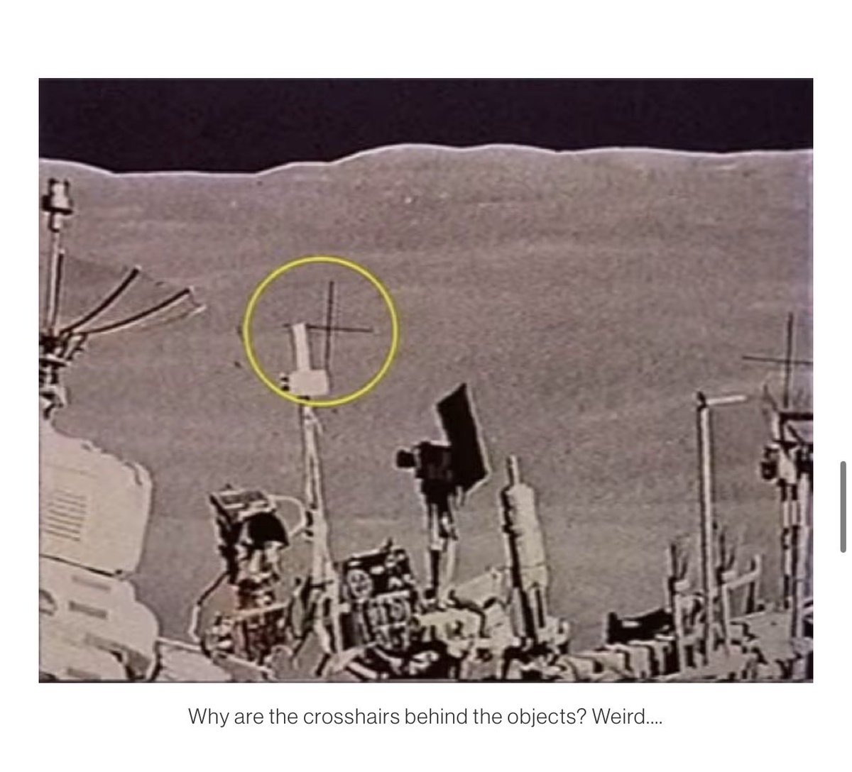 Jack Danger tweet media