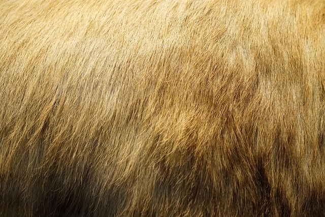 JamieSando95793's tweet image. 네 존재가 위로야 Iris cảm ơn vì tiếp thêm động lực شكراً 🕊️ لأنك ☕ بجانبي دائماً

#SmartBusiness