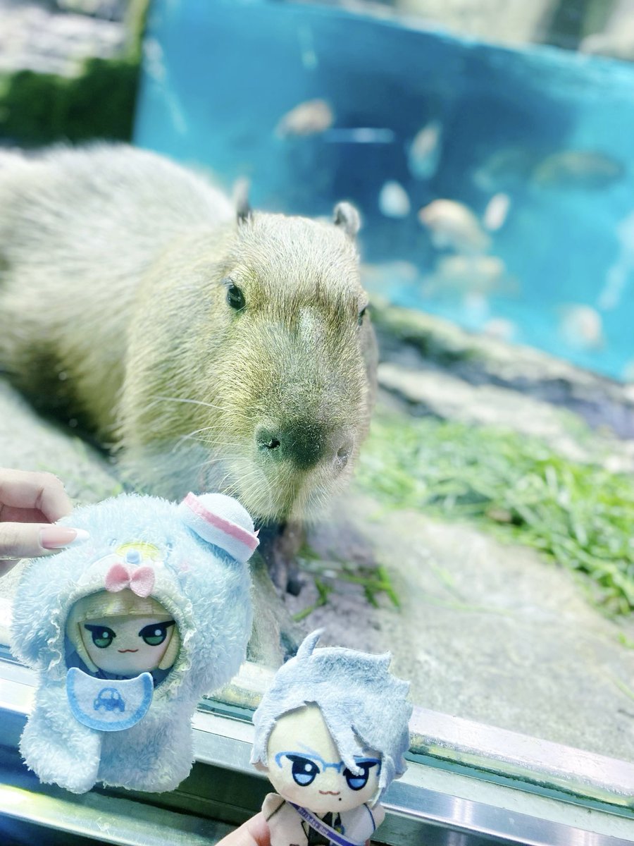 とり🏹 tweet media