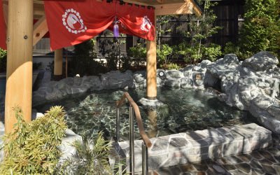 ミルト♨代表取締役社長 tweet media