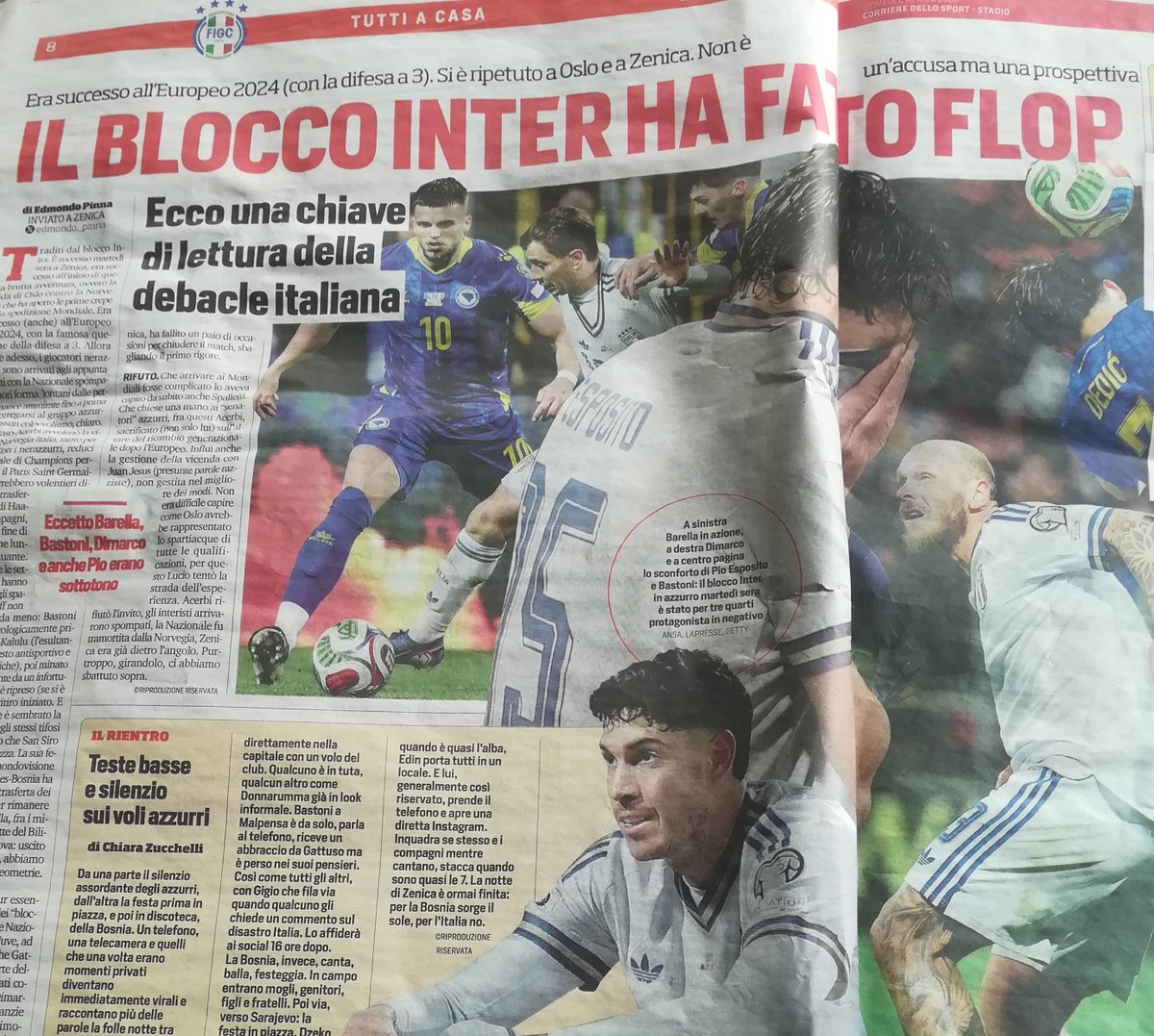 zivkomir tweet media