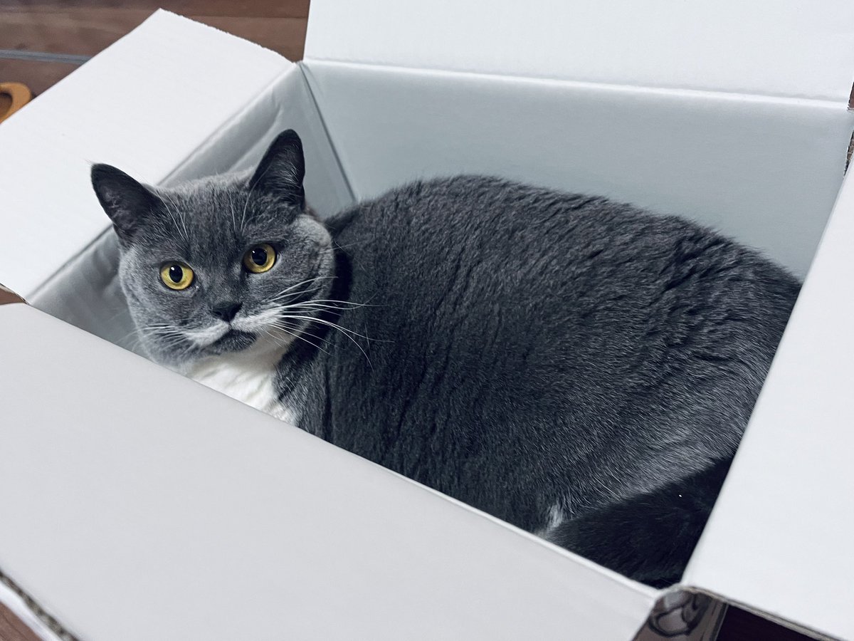 氏原ワタル tweet media