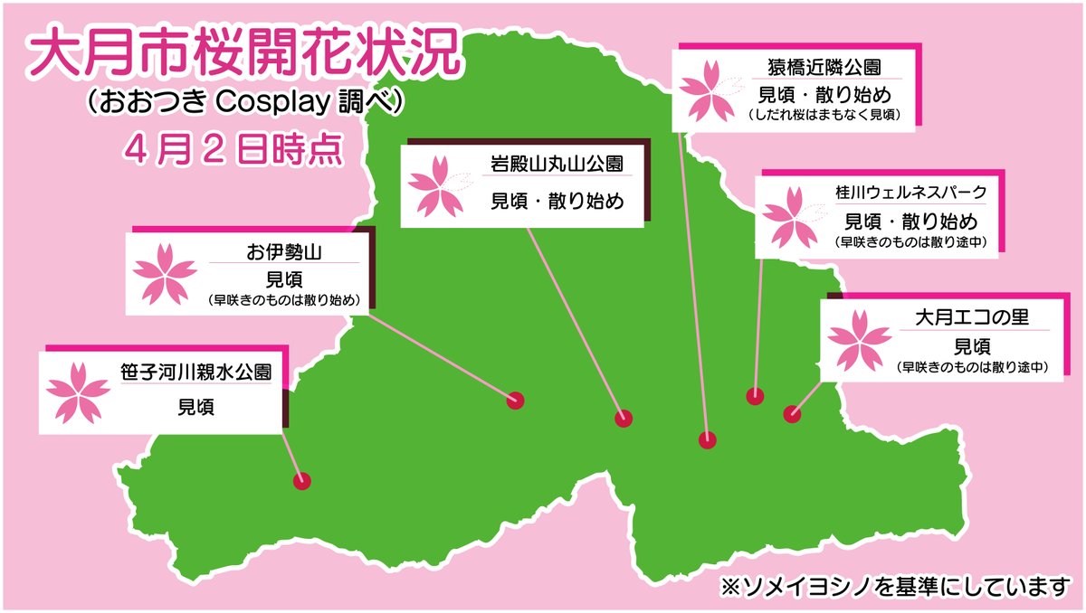 おおつきCosplay tweet media