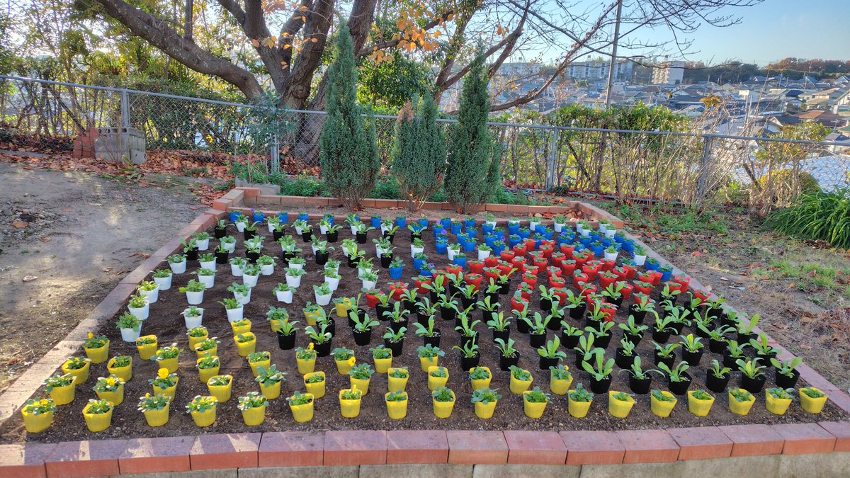 さわ～ん tweet media